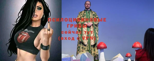 дмт Беломорск