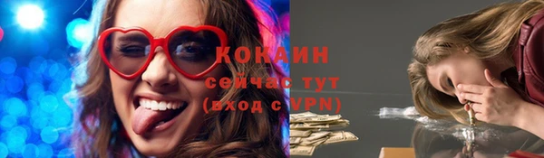 первитин Богородицк
