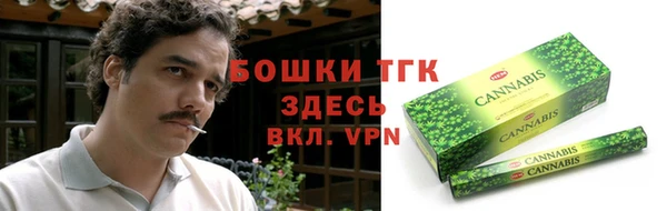 спиды Богородск