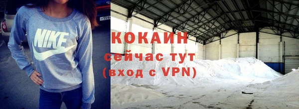 соль ск Белокуриха