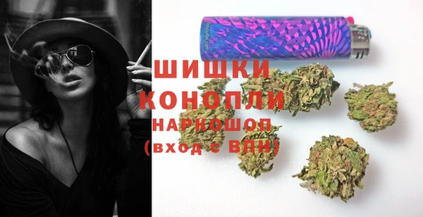 спиды Богородск