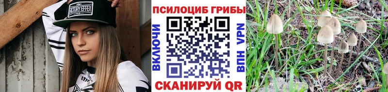Галлюциногенные грибы Cubensis  цены наркотик  Сковородино 